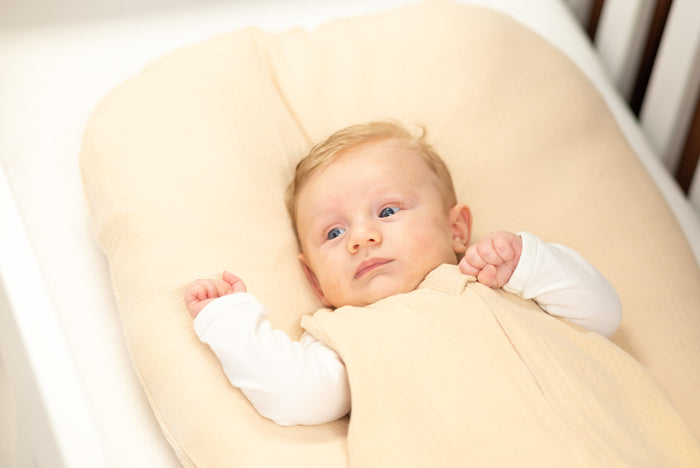 Baby nestje