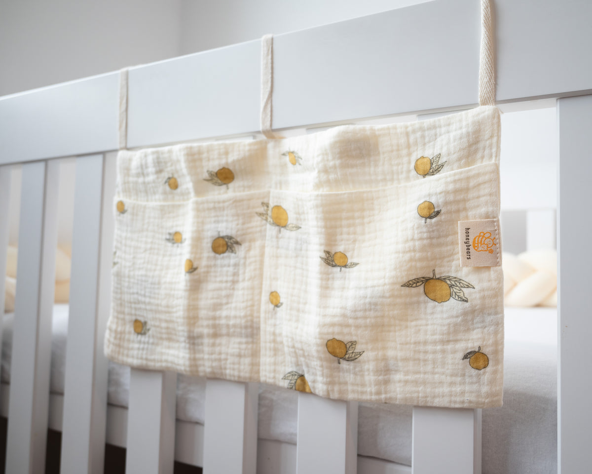 Boxopbergzak_organizer citroen