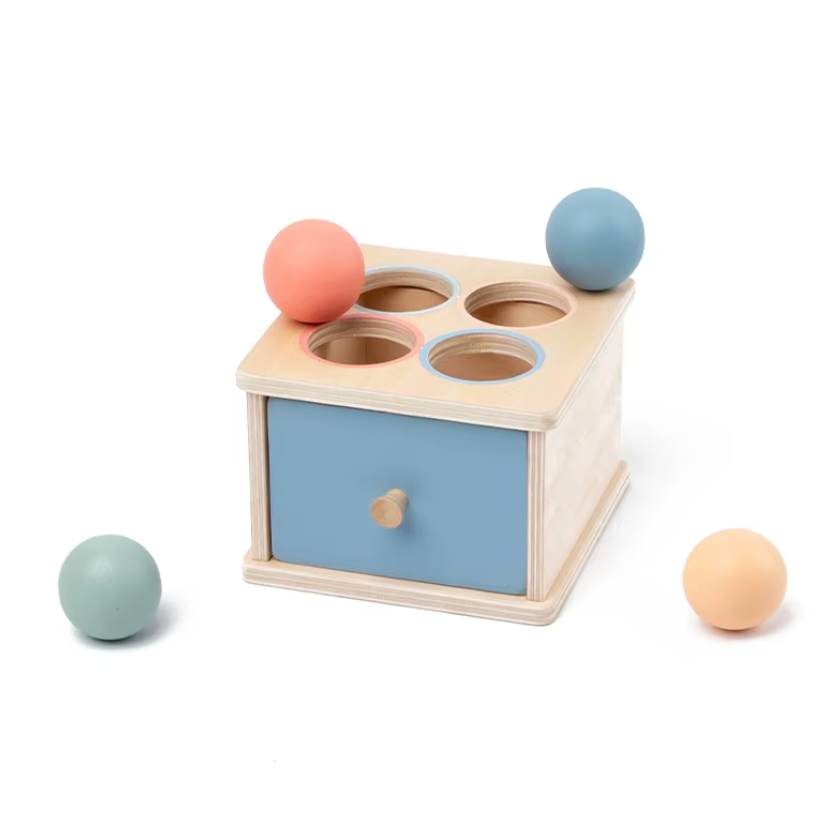 Honeybears  Montessori Balspel – Educatief Speelgoed – Motoriek Trainer – Fijne Motoriek – Duurzaam speelgoed – Houten balspel