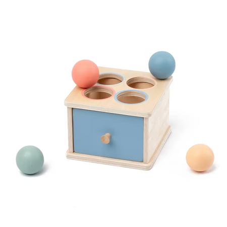 Honeybears  Montessori Balspel – Educatief Speelgoed – Motoriek Trainer – Fijne Motoriek – Duurzaam speelgoed – Houten balspel